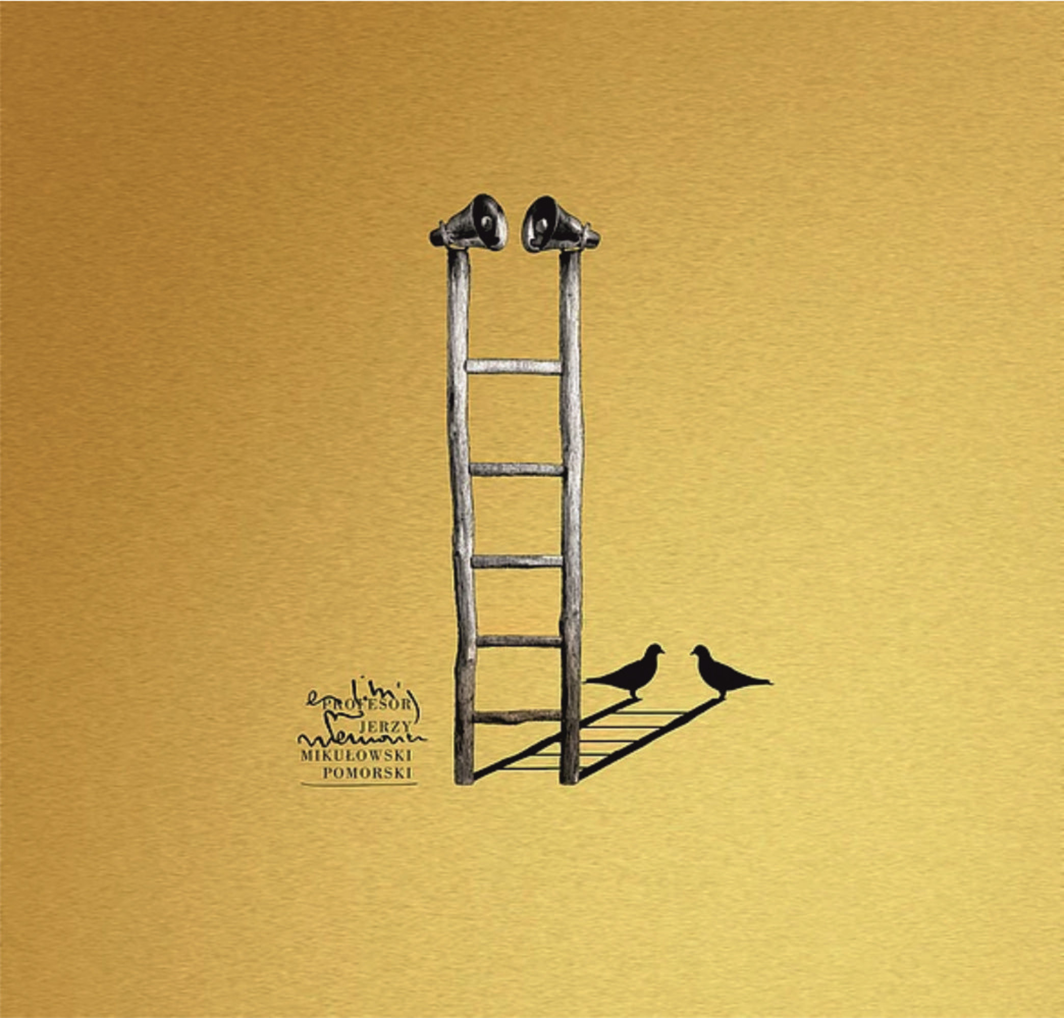 Zdjęcie przedstawia jedną z prac autorstwa dra hab. Krzysztofa Marka Bąka  - na żółtym tle drabina, na szczycie której z obu stron znajdują się głośniki. Drabina rzuca cień. W odbiciu tym na szczycie drabiny znajdują się ptaki - jeden po każdej stronie